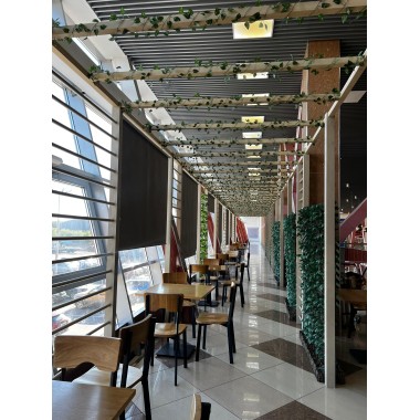 Стул жесткий Дежавю Дуб